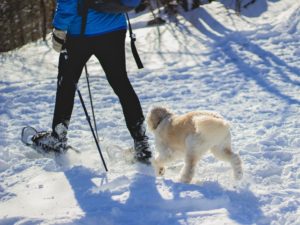 Schneeschuhwandern